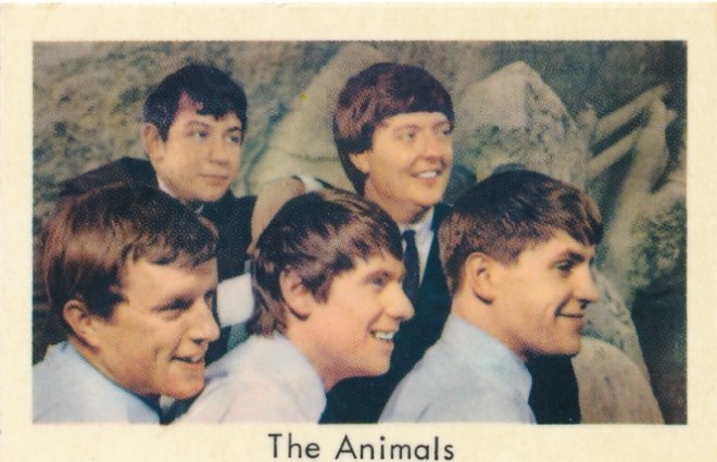 Animals 1a95